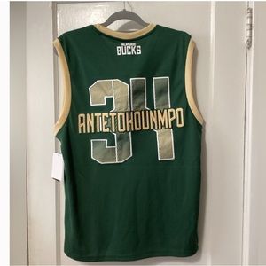 NBA Giannis Antetokounmp 34, Milwaukee Bucks Jersey, L, NWT